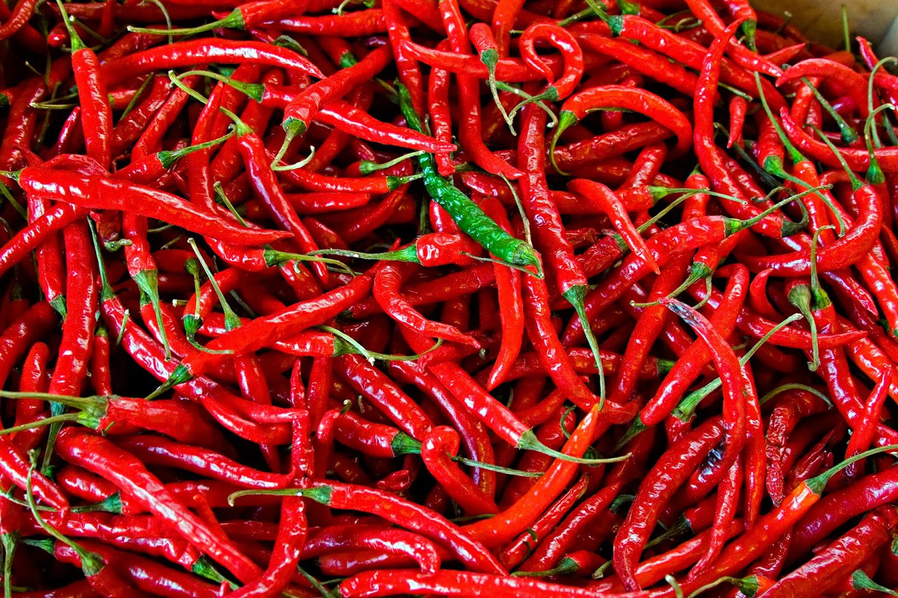 Tulinen salaisuus laihtumiseen: Mitä chilipippuri tekee kehollemme?