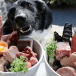 Sianliha koiran ruokavaliossa: Mitä saa antaa, mitä välttää ja miten pitää lemmikki terveenä