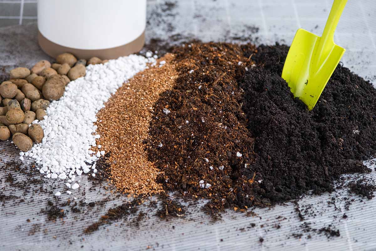 Kuinka elvyttää uupunut maa syksyllä