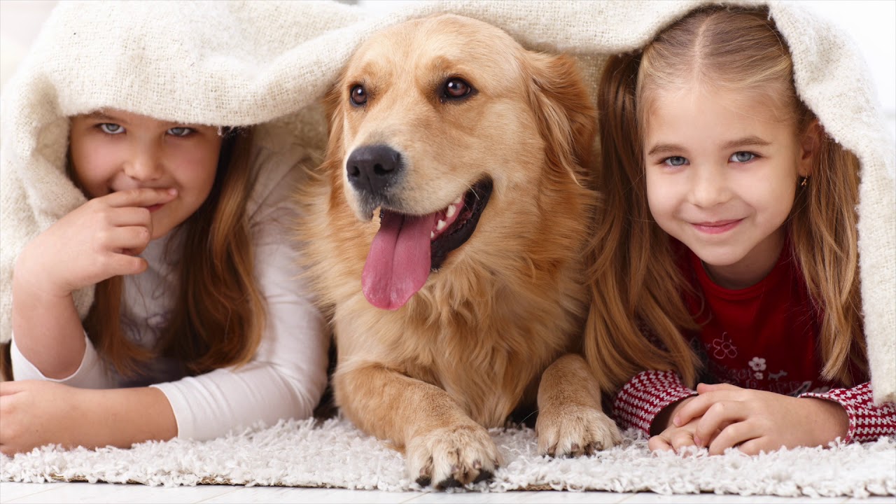 Kuinka opettaa lapsi huolehtimaan lemmikistä: Vinkit vastuullisuuteen ja empatiaan