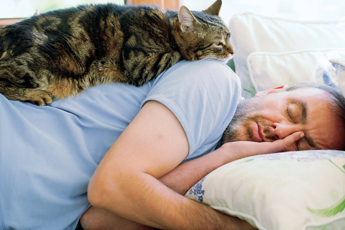 Miksi kissa nukkuu vain sinun päälläsi? Syyt paljastavat tunteita ja terveyttä