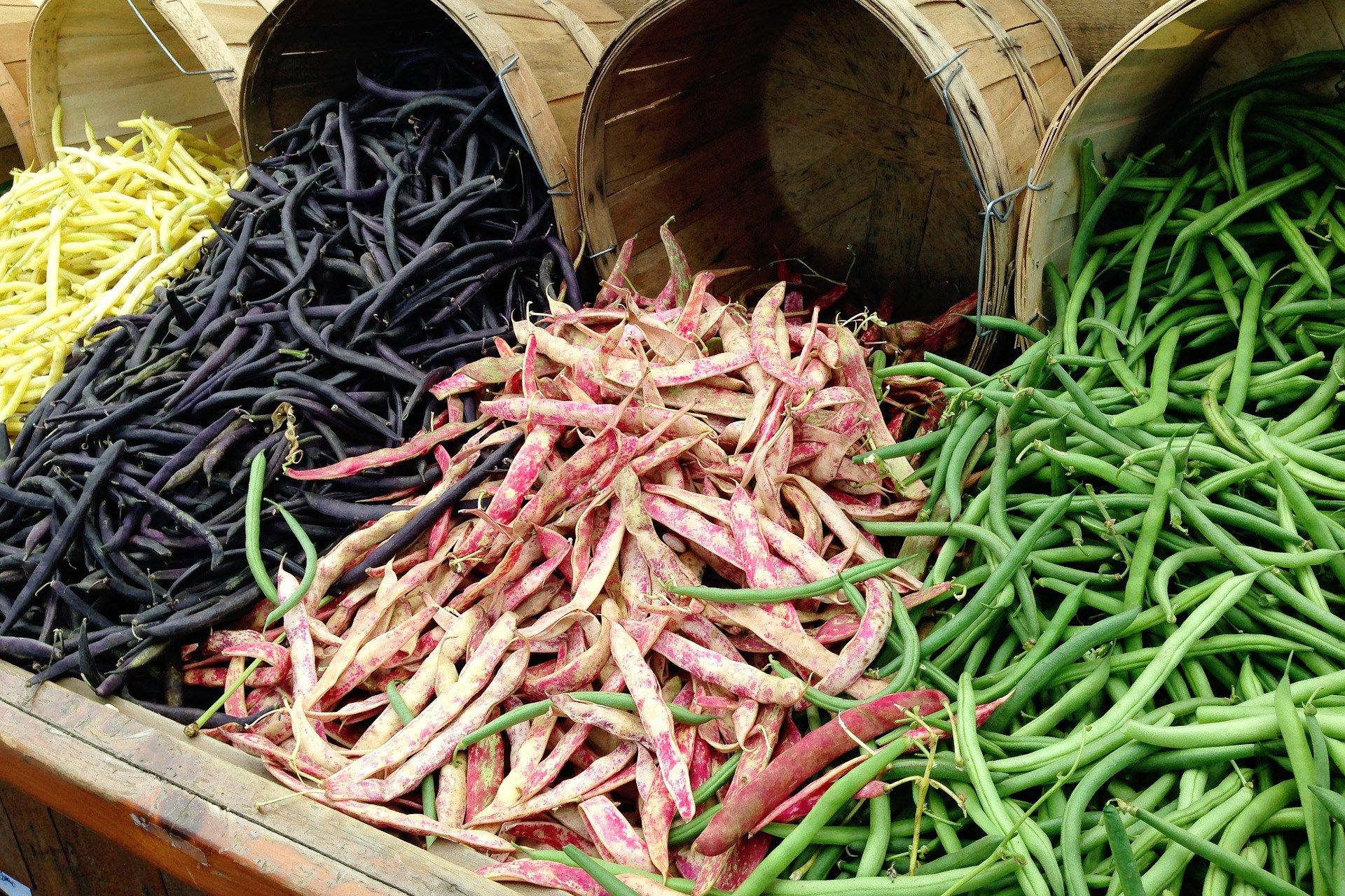 Kuinka säilyttää papuja ilman tuholaisia