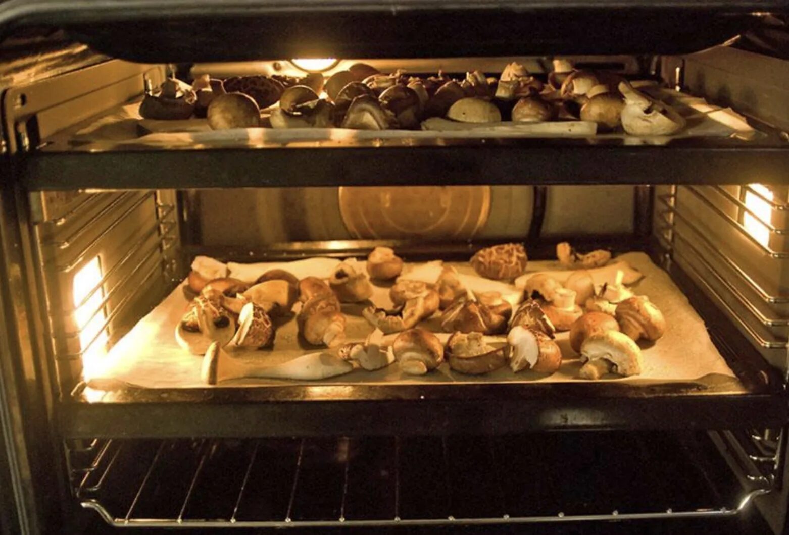 Kuinka kuivata sieniä: Ohjeet uuniin, kuivuriin, mikroon ja aurinkoon