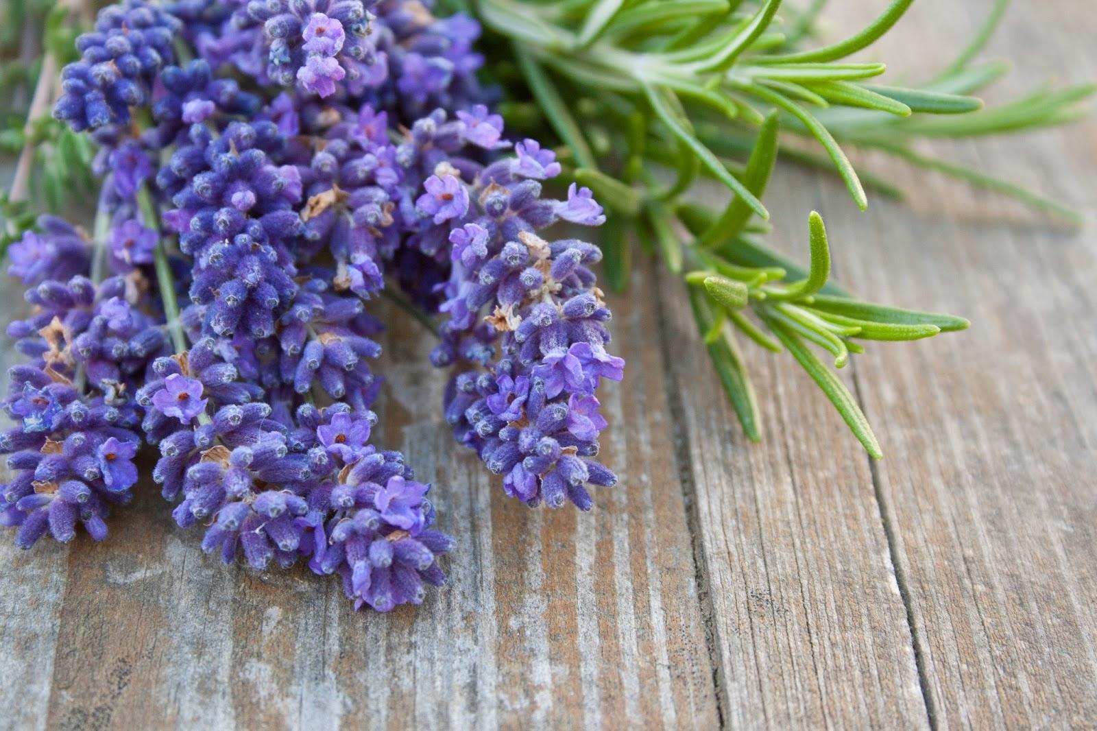 Laventelin käyttö kotona- ja asunnossa on helpompi hengittää