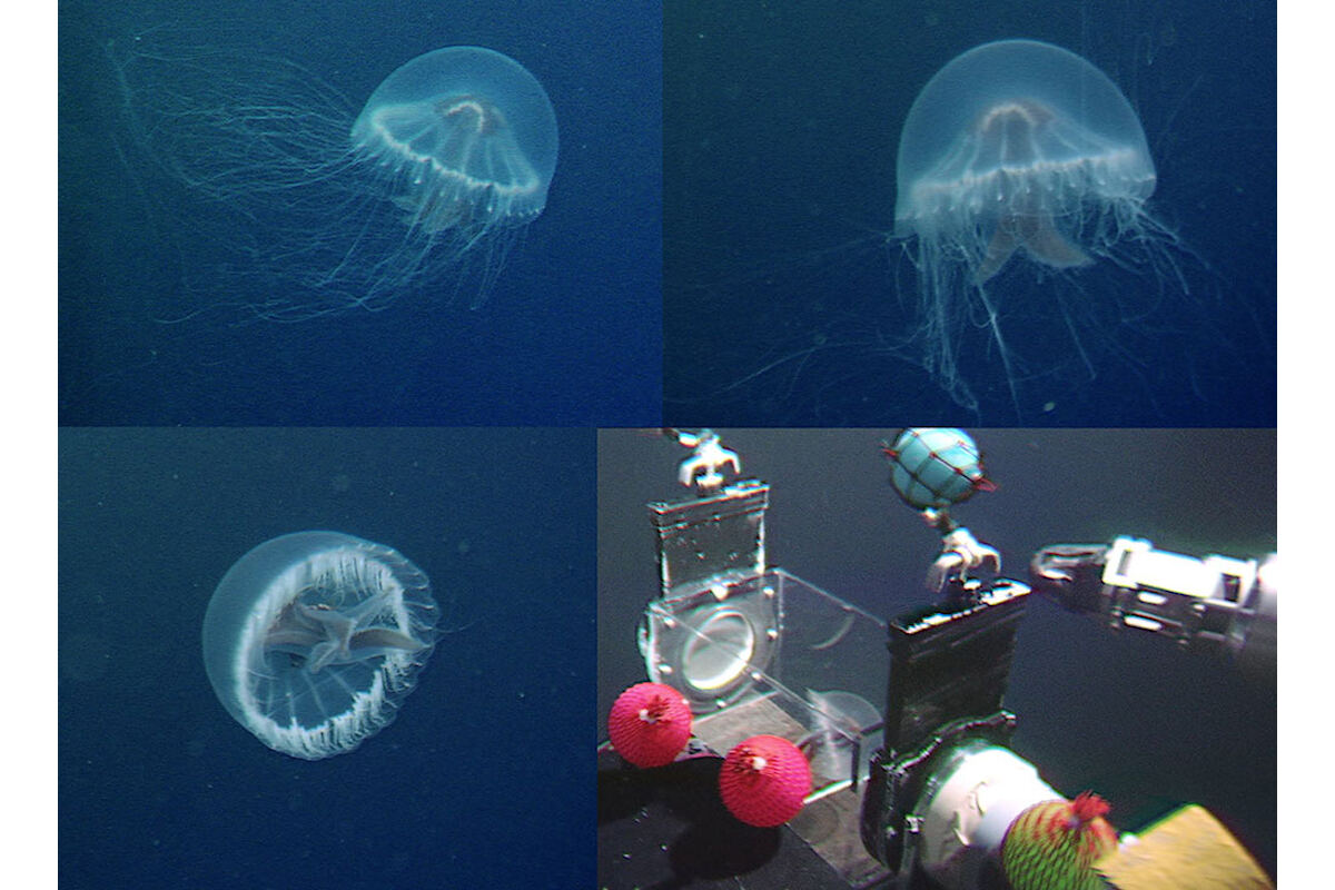 Kiinassa luotiin näkymätön meduuserobotti vedenalaiseen tiedusteluun