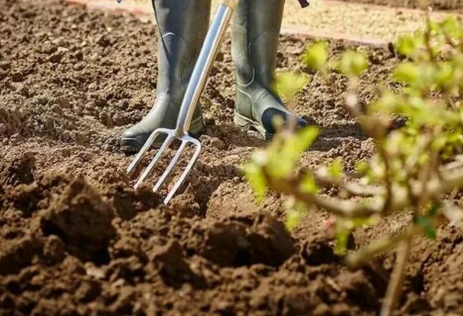 Pitääkö puutarha kaivaa talveksi? Näin varmistat hedelmällisen seuraavan kauden