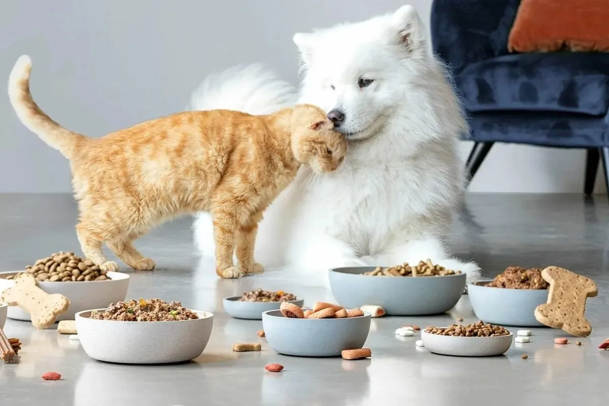 Kuinka tunnistat talousluokan kissan- ja koiranruoan koostumuksesta – ja miksi sitä ei kannata ostaa