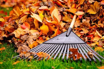 Mitä tehdä pudonneille lehdille: Älä polta tai heitä roskiin – hyödynnä näin!