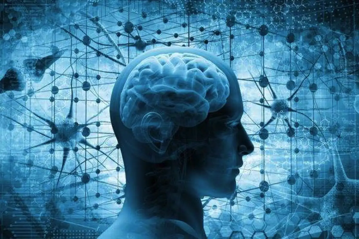 Aivot eivät valmistu 30-vuotiaana – viisi salattua kehitysvaihetta, jotka selittävät koko elämäsi