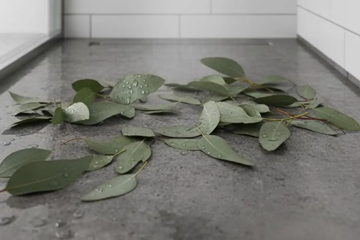 Ripusta eukalyptus suihkuun – tämä 30 sekunnin temppu muuttaa kotisuihkusi täydelliseksi hyvinvointielämykseksi joka ikinen päivä 