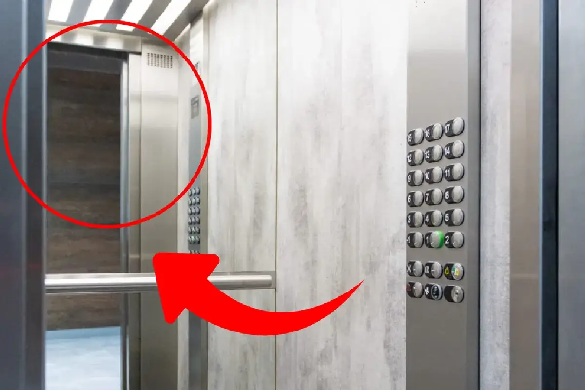 Hissin peili: Mitä se tarkoittaa ja mihin se on tarkoitettu