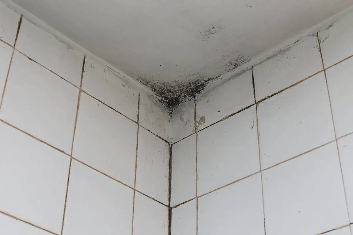 Home katoaa hanan saumoista kuin itsestään – yksi keittiön raaka-aine riittää, ja saumat pysyvät puhtaina kuukausia