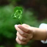 Aktivoi onnesi horoskooppimerkkisi mukaan – avaimet korkeavärähteiseen elämään