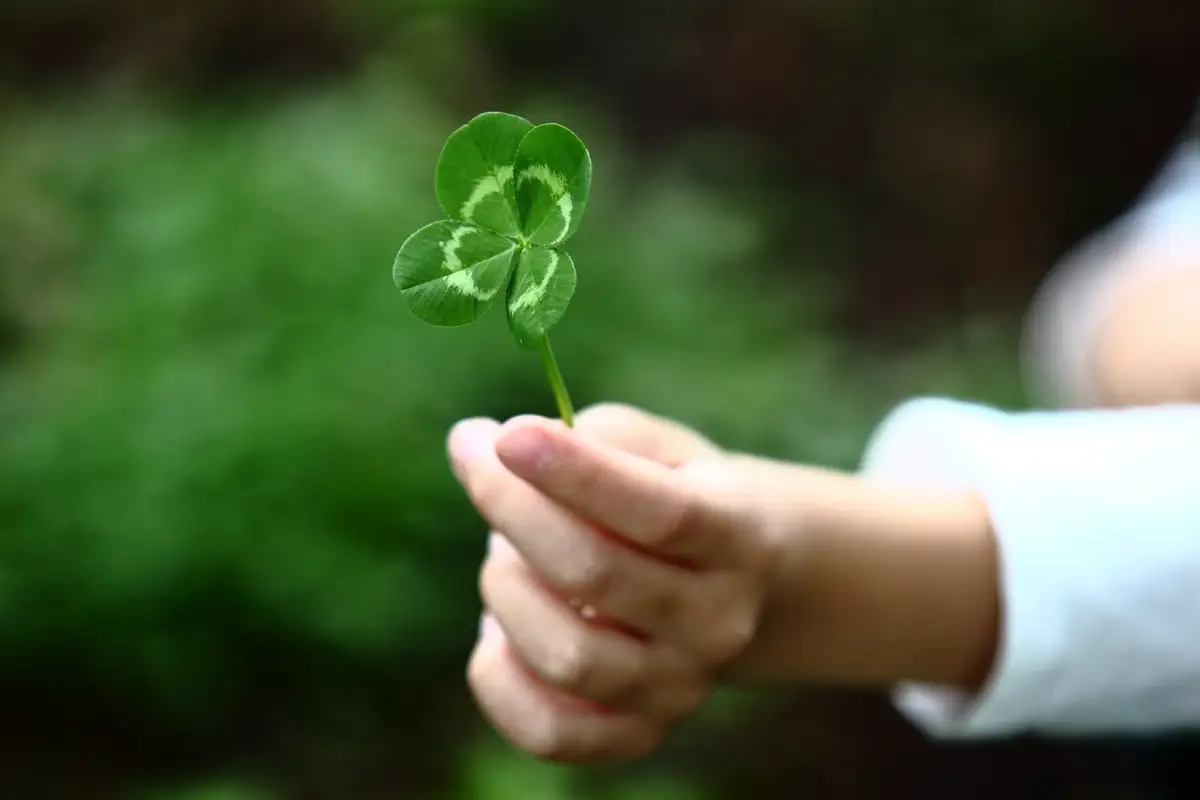 Aktivoi onnesi horoskooppimerkkisi mukaan – avaimet korkeavärähteiseen elämään