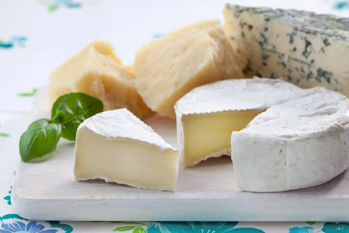 Huonoin juusto suolistollesi – tämä yksi juustotyyppi on syy, miksi vatsasi ei koskaan tunnu täysin hyvältä