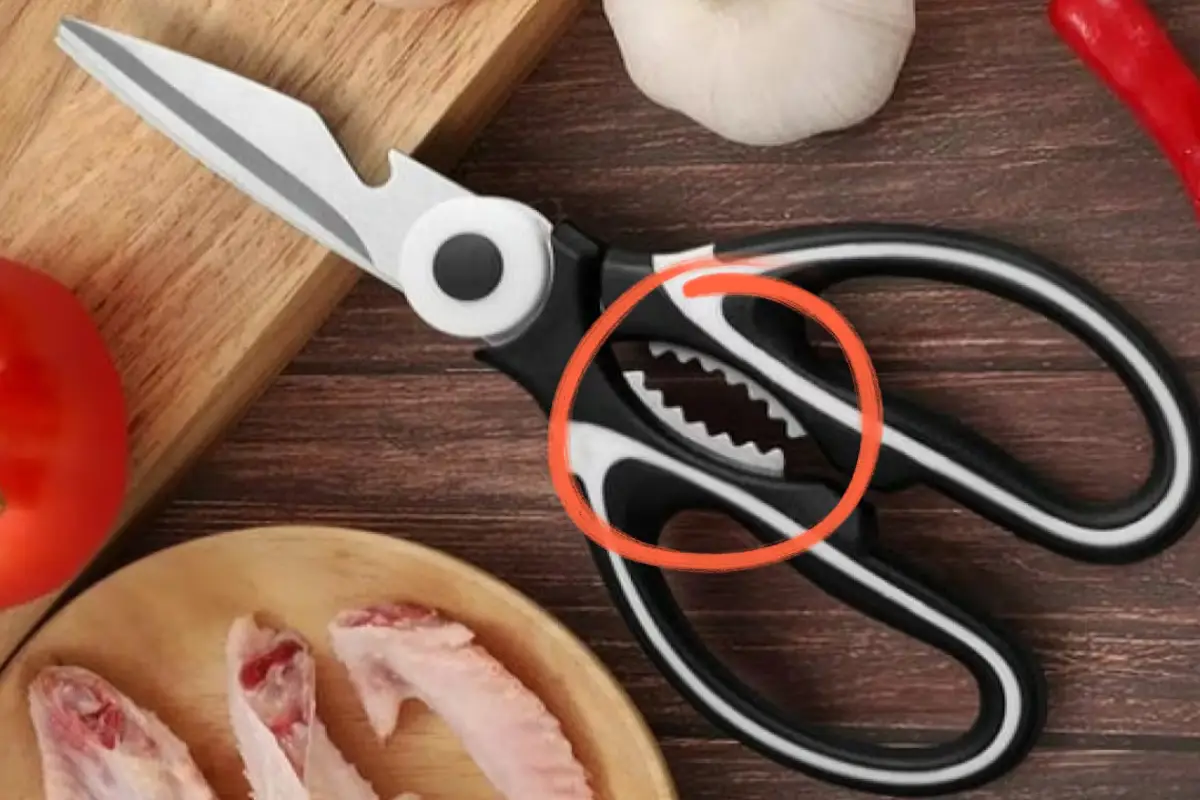 Keittiösaksien salainen hammastettu kohta – nerokas monitoimityökalu, joka korvaa kolme erillistä välinettä ja tekee ruoanlaitosta helpompaa kuin uskotkaan