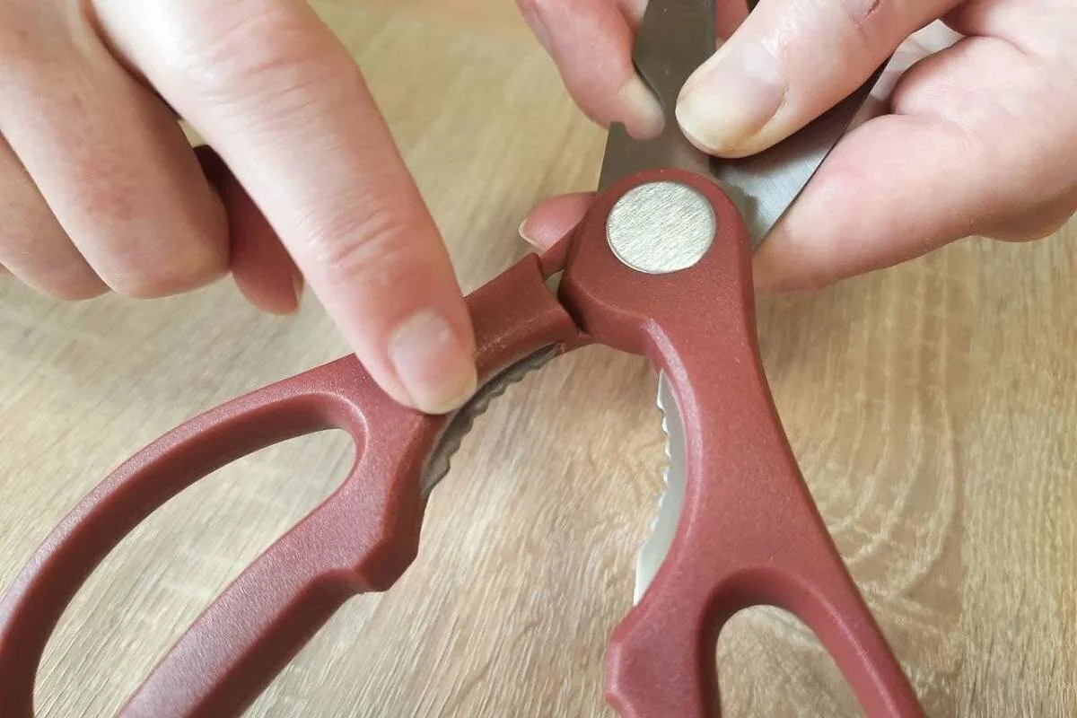 Keittiösaksien salainen hammastettu kohta – nerokas monitoimityökalu, joka korvaa kolme erillistä välinettä ja tekee ruoanlaitosta helpompaa kuin uskotkaan