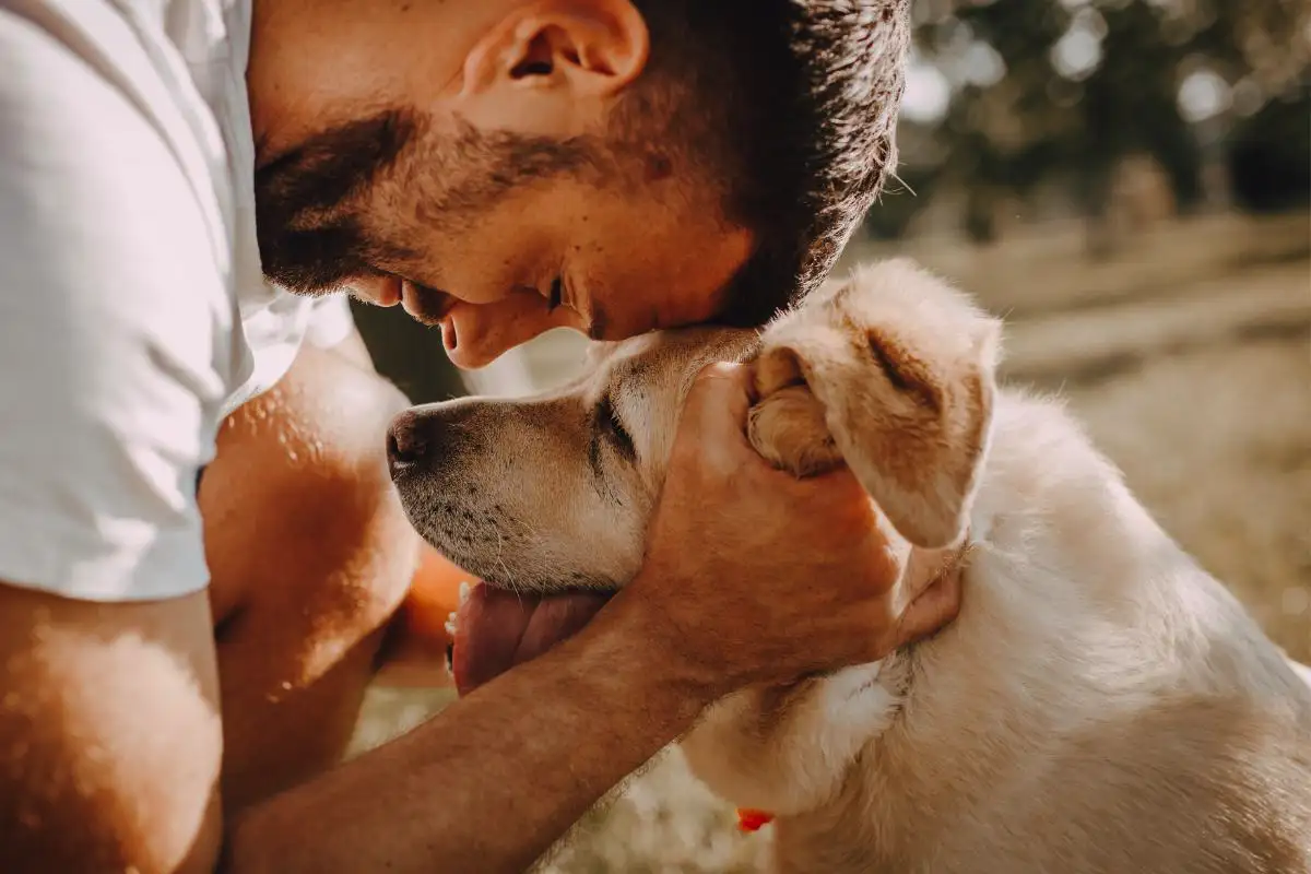 Kun koira hyppii päällesi kotiin tullessa – tämä on se, mitä se oikeasti yrittää sanoa 