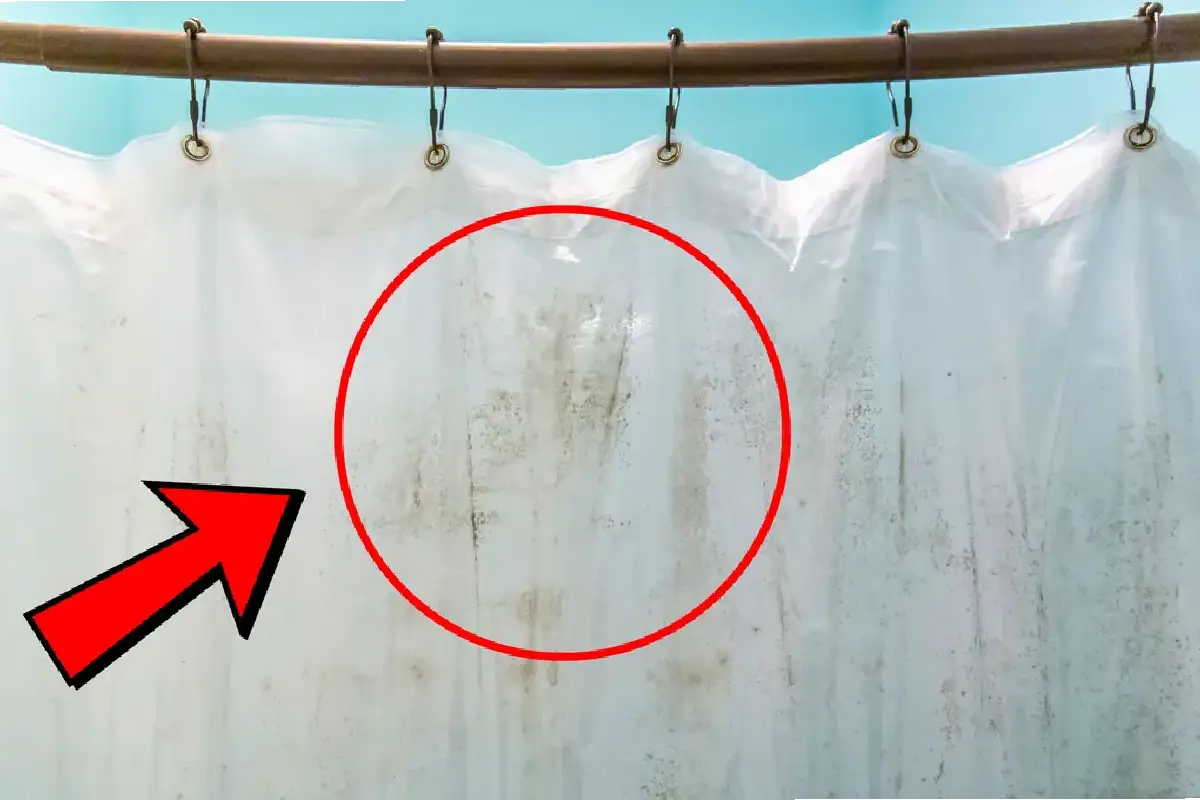 Home pesukardinalla täydellinen kylpyhuone – yhdellä ainoalla pullollisella viinietikkaa poistat homeen, kalkin ja hajut minuuteissa