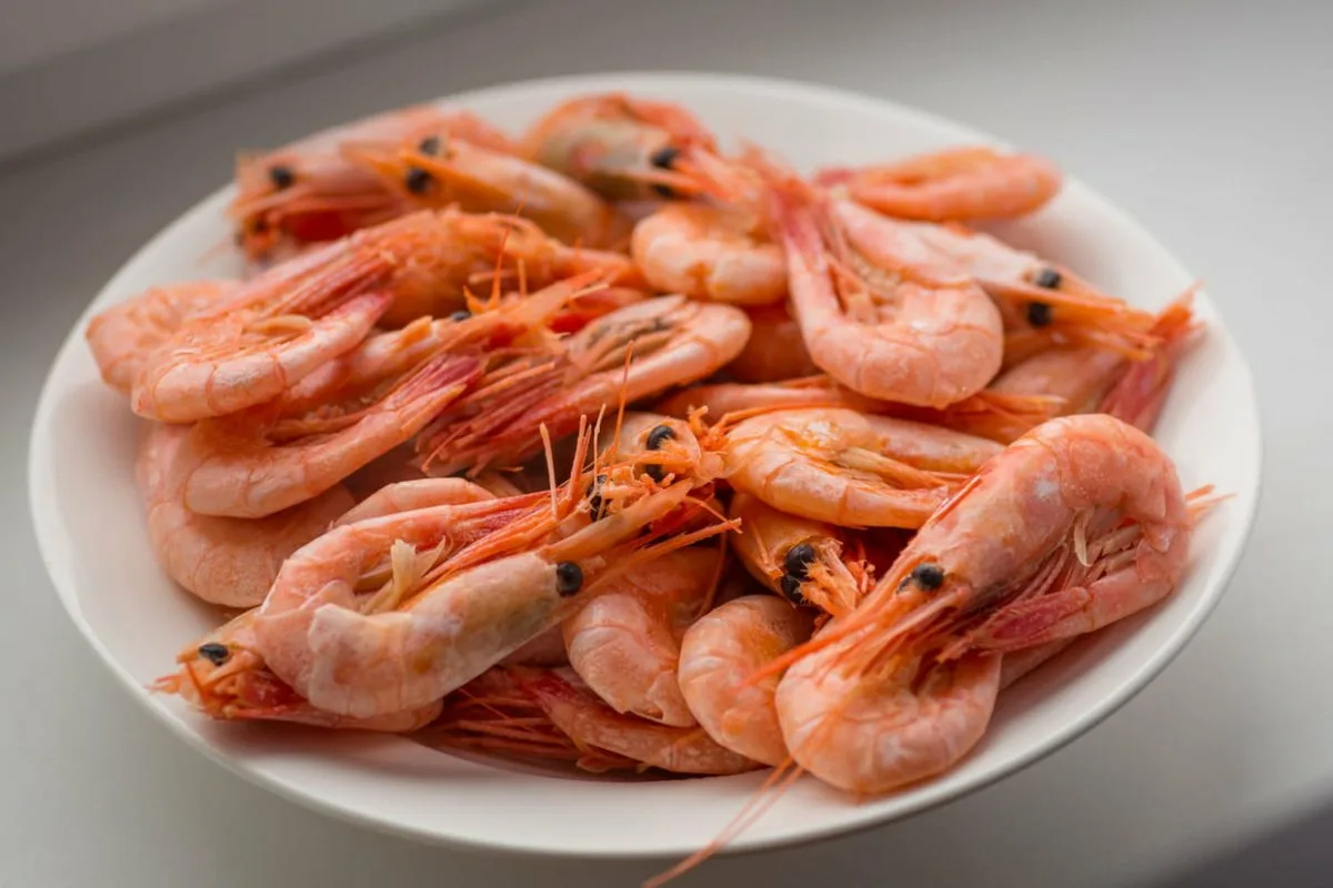 Mausteiset katkaravut tempurassa: Fuusiohitti, joka valloittaa maailman