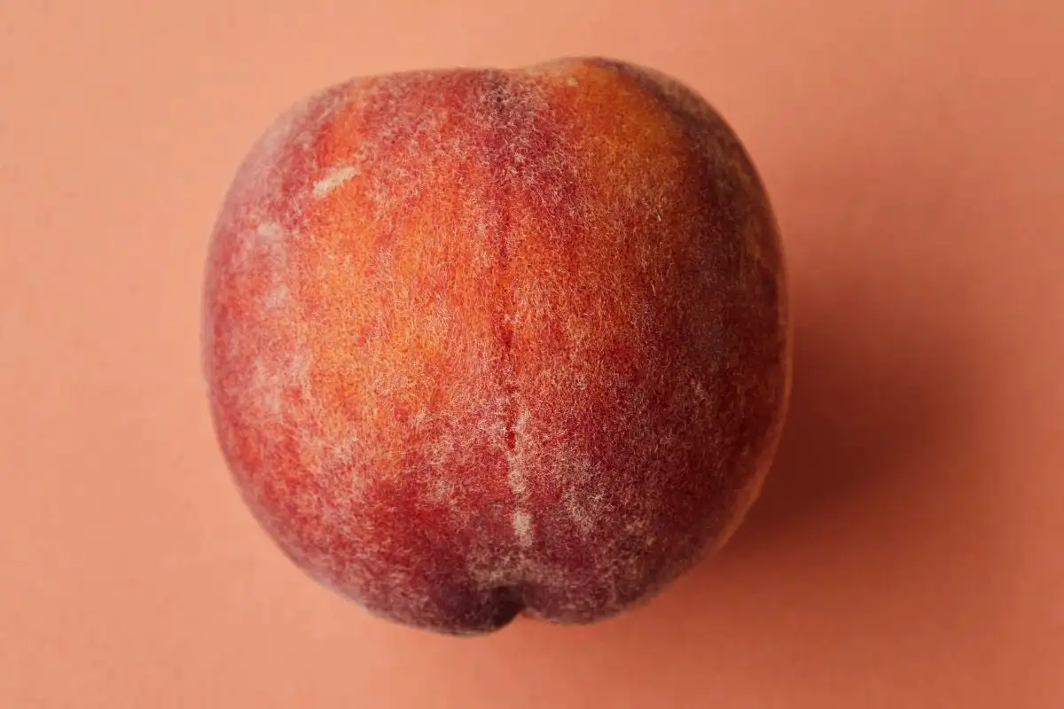 Persikat säilyvät täysin tuoreina, mehukkaina, kirkkaan oransseina ja täysin homeettomina jopa 120 päivää