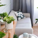 Unelman roikkuva kasvi myynnissä – alle 5 eurolla seinät, hyllyt ja nurkat heräävät eloon