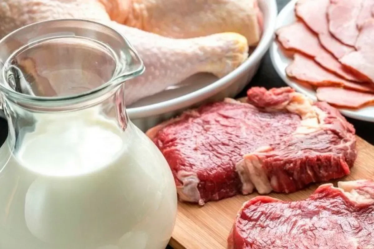 Näin kauan ruoka kestää ilman jääkaapin ulkopuolella – ravitsemusterapeutin tarkka kellonlyömä, joka pelastaa satoja euroja ja estää vatsataudit