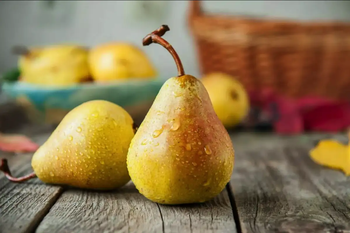 12 ruokaa, joissa on kuitua enemmän kuin kaurapuurossa – ravitsemusterapeutin täydellinen opas