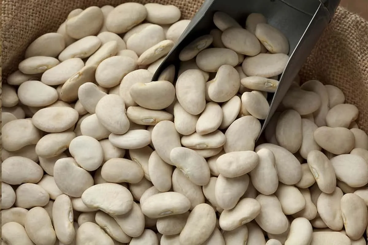 12 ruokaa, joissa on kuitua enemmän kuin kaurapuurossa – ravitsemusterapeutin täydellinen opas