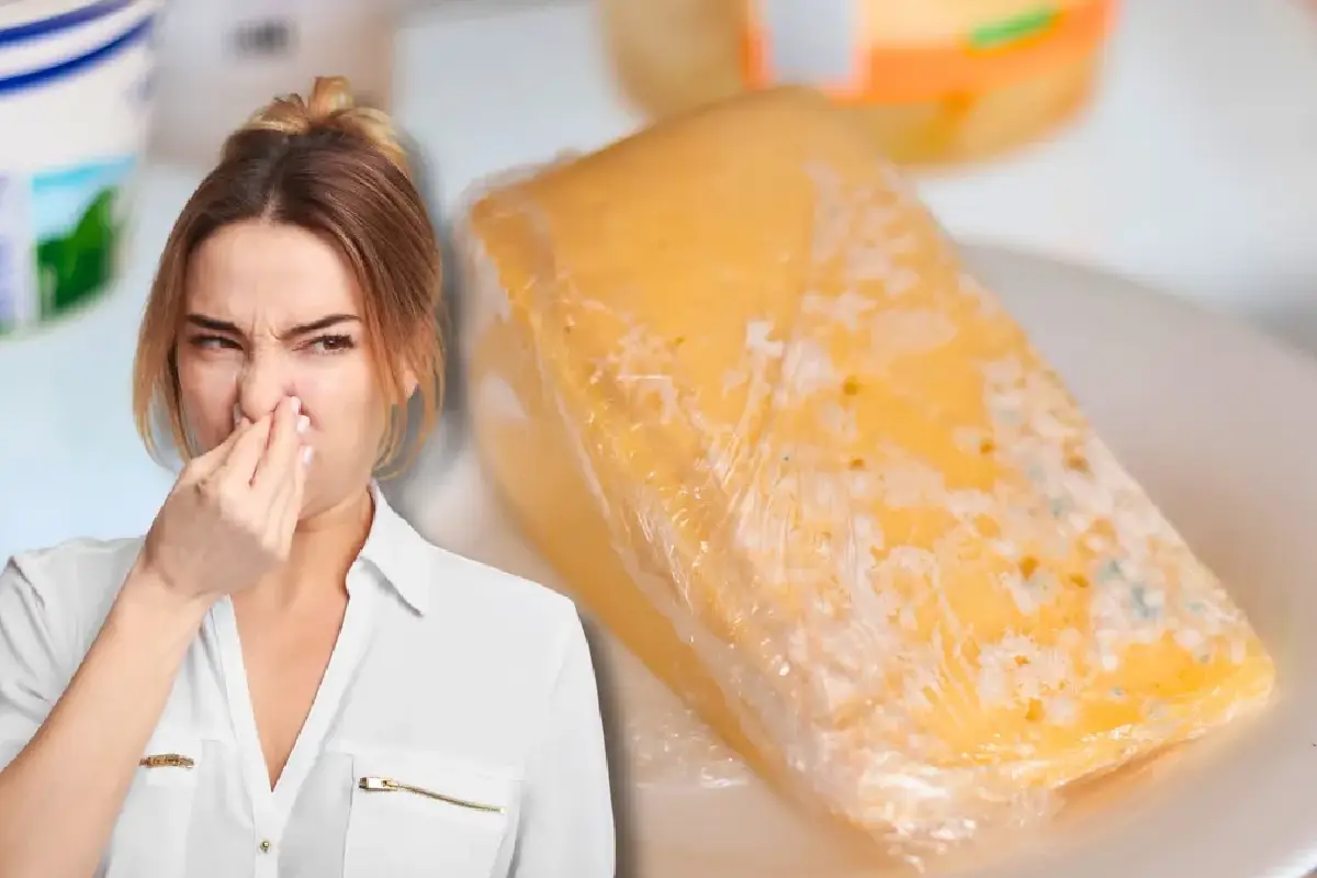 Valkoviinietikka poistaa mädän hajun jääkaapista – täydellinen askelittainen opas