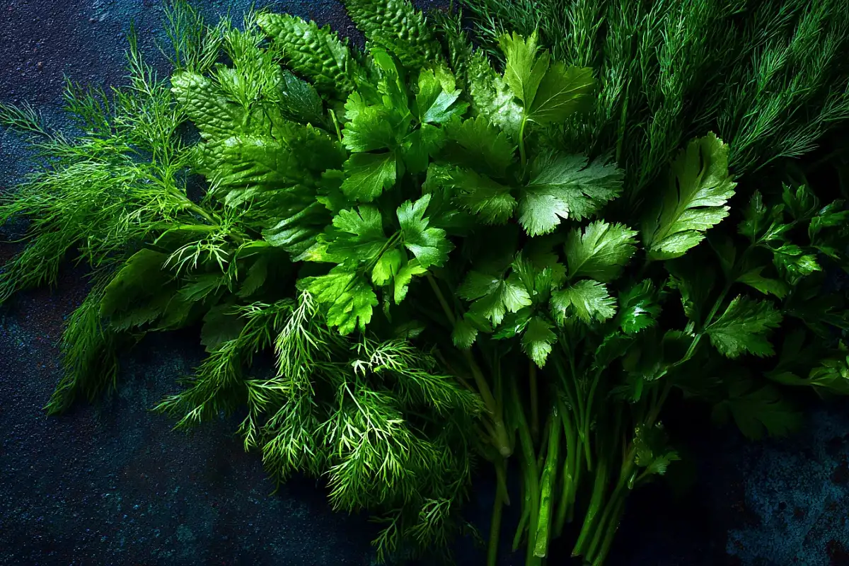 Kuidas taastada närtsinud rohelise ja köögiviljade värskus: tõestatud lifehackid – säästad raha ja vähendad toiduraiskamist